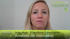 TV: Arranque de la Soja con bajas en Chicago, y despus?; con Paulina Lescano - Clinica de Granos