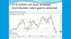 TV: 