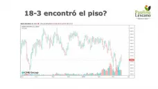 El maíz con mejores perspectivas en el corto plazo dado que encontró su piso en Chicago, con Paulina Lescano - Clínica de Granos