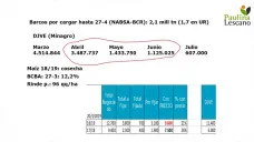 Mejores expectativas de producción para el maíz, con buen nivel de ventas al exterior.. ahora que acompañe el clima, con Paulina Lescano - Clínica de Granos