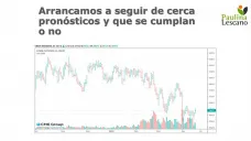 Avanza nuestra cosecha de maíz, mientras que la siembra en USA recién en los comienzos, con Paulina Lescano - Clínica de Granos