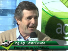 TV: ¿Cuales son las claves para repensar la sustentabilidad de la producción agropecuaria?; con C. Belloso - Aapresid