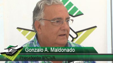 TV: ¿Qué hacemos para que el mundo vuelva a comprar Carne Argentina?; con G. Alvarez Maldonado, IPCVA