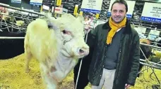 “La raza Shorthorn ha manifestado un crecimiento en los últimos 20 años”