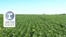Martín Robledo - responsable comercial de Riesgos Agrícolas de San Cristóbal