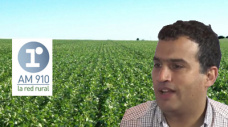 Martín Robledo - jefe comercial de Agro de 