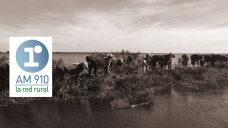 Francisco Velar - productor ganadero en Corrientes