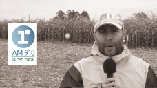 Federico Larrosa - gerente de producto y comunicación de KWS