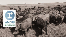 Minuto del productor: Fernando Líbano - empresa familiar agropecuaria de Tres Lomas (oeste de Bs. As.)