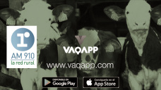 Gustavo González - co-fundador de VaqApp