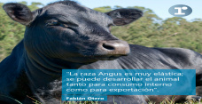 Fabián Otero - coordinador de la Asociación Argentina de Angus (zona centro)