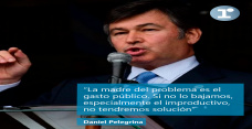 Daniel Pelegrina - presidente de la SRA