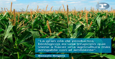 Gonzalo Grigera - emprendedor, fundador de AgIdea