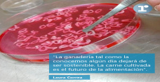 Laura Correa - directora de la división de Bioingeniería de laboratorios Craveri