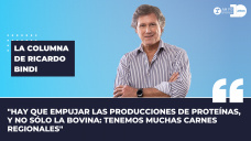 Columna Ricardo Bindi - 