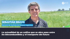 Sebastián Bravo - Gerente de Carinata de Nuseed Argentina
