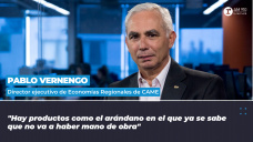 Pablo Vernengo - director ejecutivo de Economías Regionales de CAME