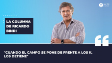 Columna Ricardo Bindi: 