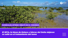 Humedales: intenso debate en el Congreso