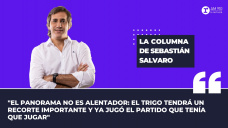 Columna Sebastián Salvaro - 