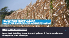 ¿El Estado reemplazará la Ley de Emergencia agropecuaria?
