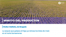 Minuto del productor: Walter Malfatto, de Bragado