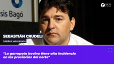Sebastián Crudeli - médico veterinario
