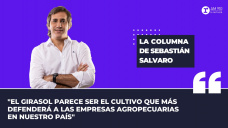 Columna Sebastián Salvaro: 