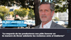 Elbio Laucirica, nuevo presidente de Coninagro