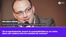 Ricardo Negri, exsecretario de Agricultura de la Nación y expresidente del Senasa
