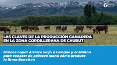 Las Claves de la producción ganadera en Chubut