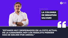 Columna Sebastián Salvaro: “Cuales son los números actuales y desafíos futuros para la ganadería en 2023” 