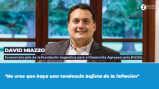 David Miazzo, economista jefe de la Fundación Argentina para el Desarrollo Agropecuario (FADA). 