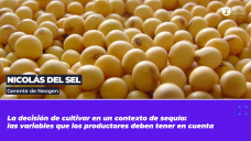 Nicolás Del Sel, gerente de Neogen. 