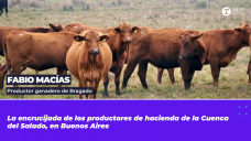 Minuto del productor: Fabio Macías, productor ganadero de Bragado