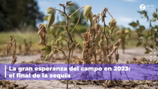 El campo mantiene la esperanza: ¿Se viene el final de La Niña?