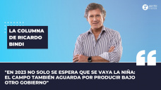 Columna Ricardo Bindi: 