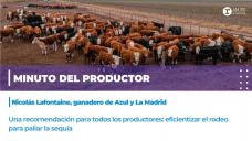 Minuto del Productor: Nicolás Lafontaine, ganadero de Azul y La Madrid. 