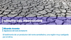 Minuto del productor: Ricardo Avonto, algodonero del norte de Santa Fe. 