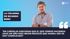 Columna Ricardo Bindi: 