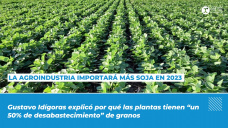 La agroindustria importará más soja en 2023
