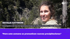 Natalia Gattinoni, Investigadora del área de Agrometeorología del Instituto de Clima y Agua del INTA 