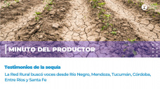 Minuto del productor: testimonios de la sequía 