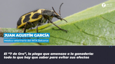 Juan Agustn Garca, mdico veterinario del INTA Balcarce 