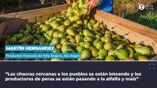Martín Hernández, productor frutícola de Villa Regina, Río Negro.