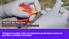 Vicente Rea Pidcova, veterinario del Programa de Sanidad Aviar de Senasa