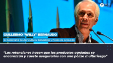 Guillermo Willy Bernaudo, exsecretario de Agricultura, Ganadera y Pesca de la Nacin