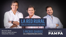 Programa completo del sábado 11 de febrero de 2023