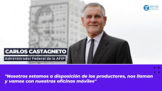 Carlos Castagneto, Administrador Federal de la AFIP