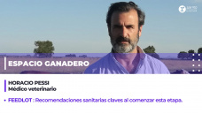 Horacio Pessi, médico veterinario